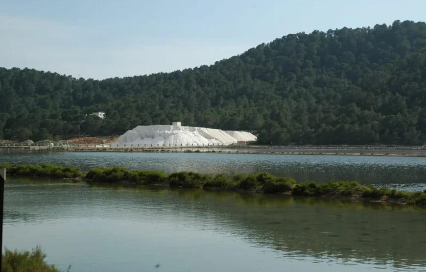 Excursion d&rsquo;une journée et visite d&rsquo;un marché hippie