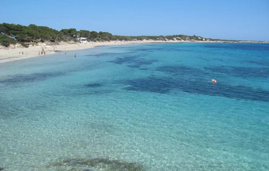Excursion d&rsquo;une journée et visite d&rsquo;un marché hippie